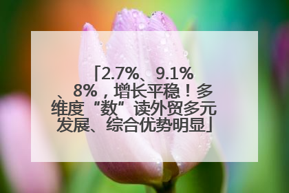 2.7%、9.1%、8%，增长平稳！多维度“数”读外贸多元发展、综合优势明显