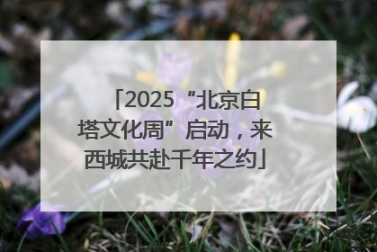 2025“北京白塔文化周”启动，来西城共赴千年之约
