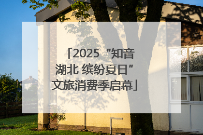 2025“知音湖北 缤纷夏日”文旅消费季启幕