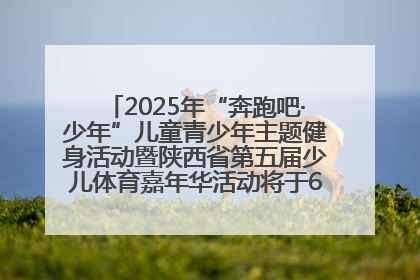 2025年“奔跑吧·少年”儿童青少年主题健身活动暨陕西省第五届少儿体育嘉年华活动将于6月14日正式举办