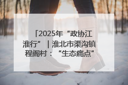2025年“政协江淮行”｜淮北市渠沟镇程阁村：“生态痛点”变“生态景观”