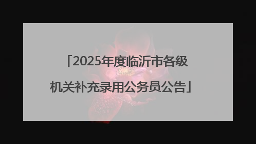 2025年度临沂市各级机关补充录用公务员公告