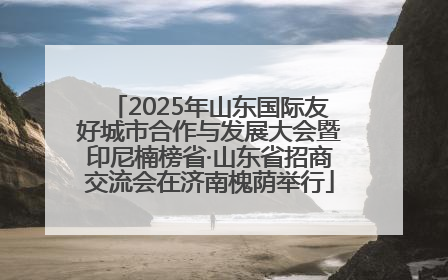 2025年山东国际友好城市合作与发展大会暨印尼楠榜省·山东省招商交流会在济南槐荫举行