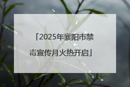 2025年襄阳市禁毒宣传月火热开启