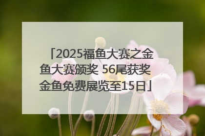 2025福鱼大赛之金鱼大赛颁奖 56尾获奖金鱼免费展览至15日