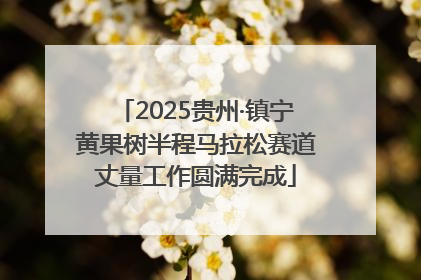 2025贵州·镇宁黄果树半程马拉松赛道丈量工作圆满完成