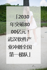 2030年突破8000亿元！武汉软件产业冲刺全国第一梯队