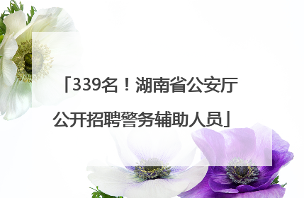 339名！湖南省公安厅公开招聘警务辅助人员
