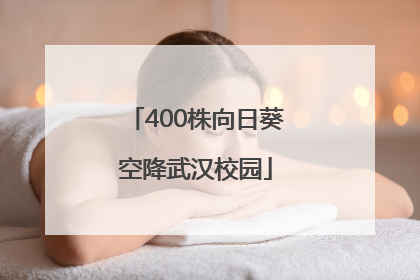 400株向日葵空降武汉校园