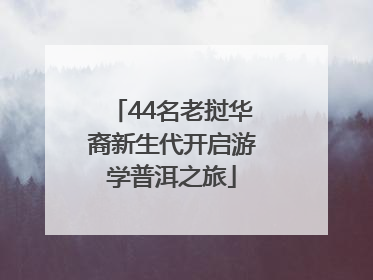 44名老挝华裔新生代开启游学普洱之旅