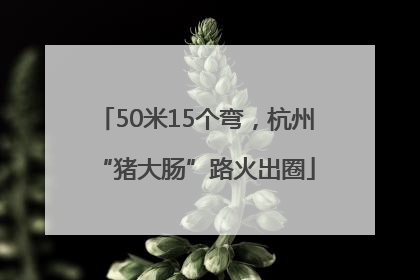 50米15个弯，杭州“猪大肠”路火出圈