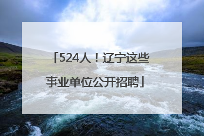 524人！辽宁这些事业单位公开招聘