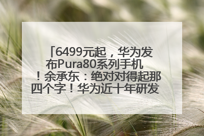 6499元起，华为发布Pura80系列手机！余承东：绝对对得起那四个字！华为近十年研发投入12490亿元