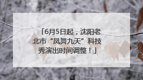 6月5日起，沈阳老北市“凤舞九天”科技秀演出时间调整！