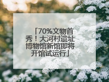 70%文物首秀！大河村遗址博物馆新馆即将开馆试运行