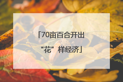 70亩百合开出“花”样经济