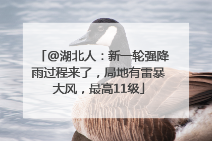 @湖北人：新一轮强降雨过程来了，局地有雷暴大风，最高11级