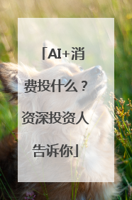 AI+消费投什么？资深投资人告诉你