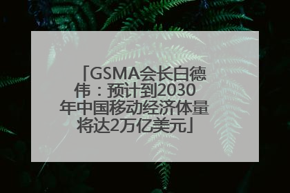 GSMA会长白德伟：预计到2030年中国移动经济体量将达2万亿美元