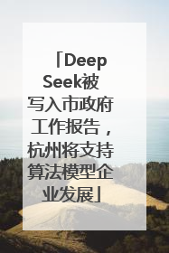 DeepSeek被写入市政府工作报告，杭州将支持算法模型企业发展
