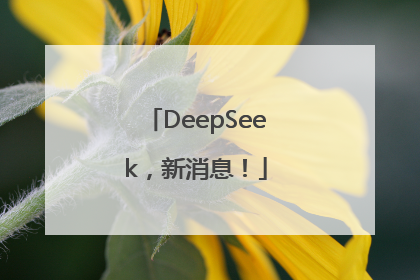 DeepSeek，新消息！
