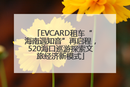EVCARD租车“海南遇知音”再启程，520海口巡游探索文旅经济新模式