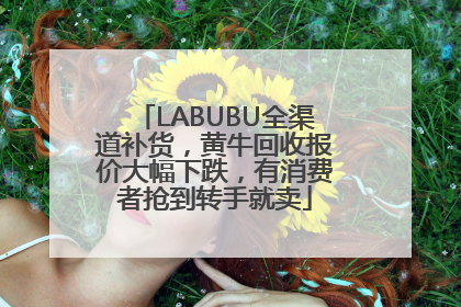 LABUBU全渠道补货，黄牛回收报价大幅下跌，有消费者抢到转手就卖